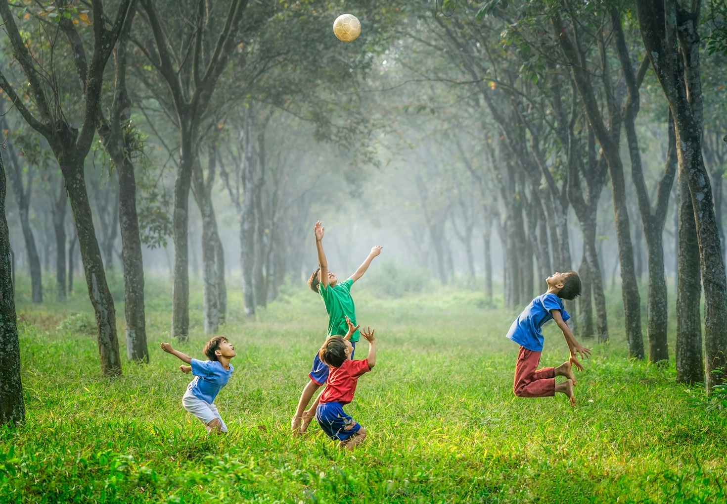 Lifelong Learning Through Sensory and Emotional Play